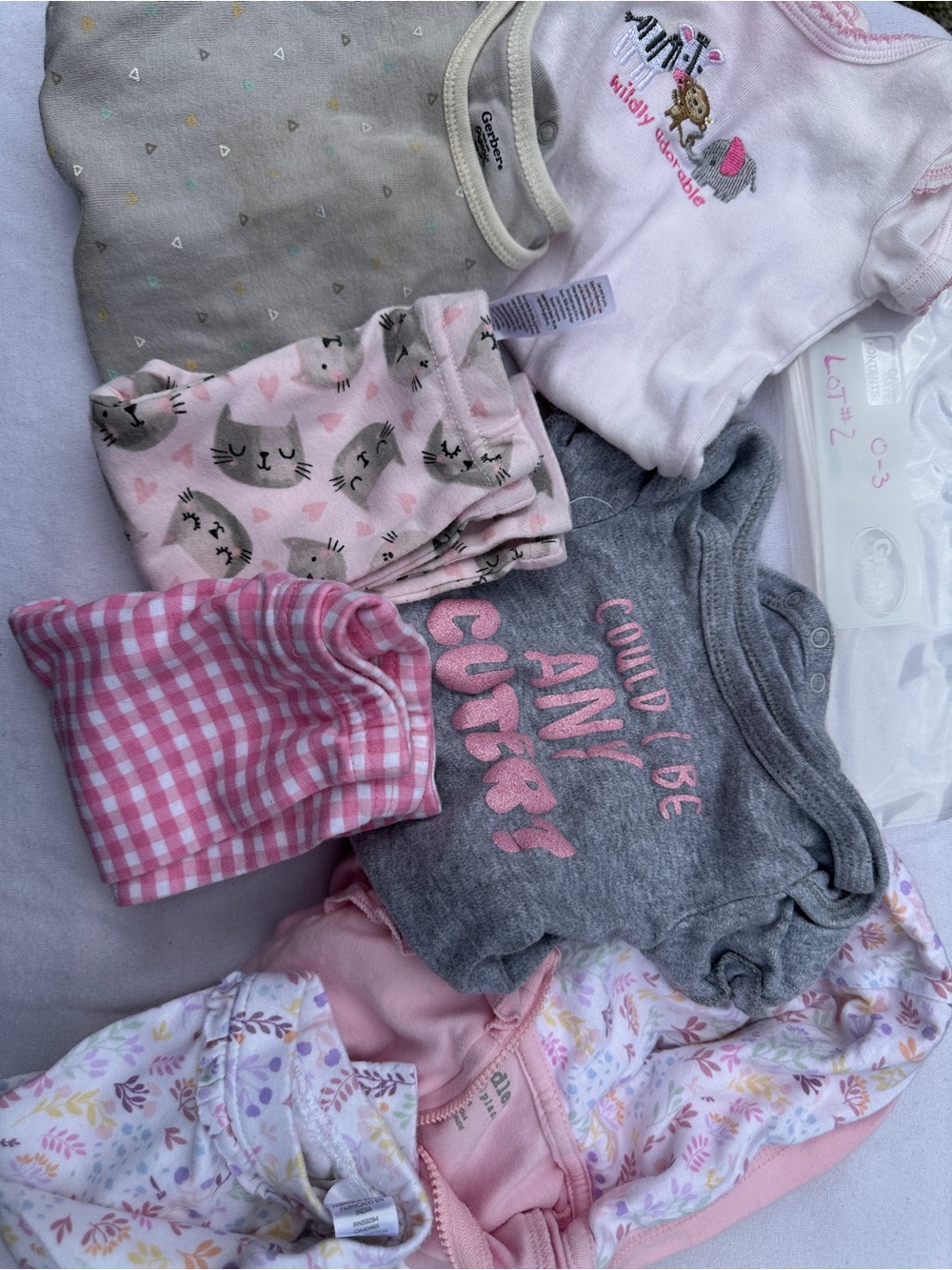 Baby Girls Mixed Onesie, outfit, and pants. (Lot2)